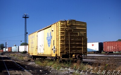 D&H plug door boxcar
a solitary weather-beaten D&H boxcar sits quietly at SK Yard as a westbound passes en route to Norfolk Southern's Buffalo Junction Yard.  
Photo Copyright 2008 Tim Baldwin
Keywords: d&h;sk yard;buffalo;ny