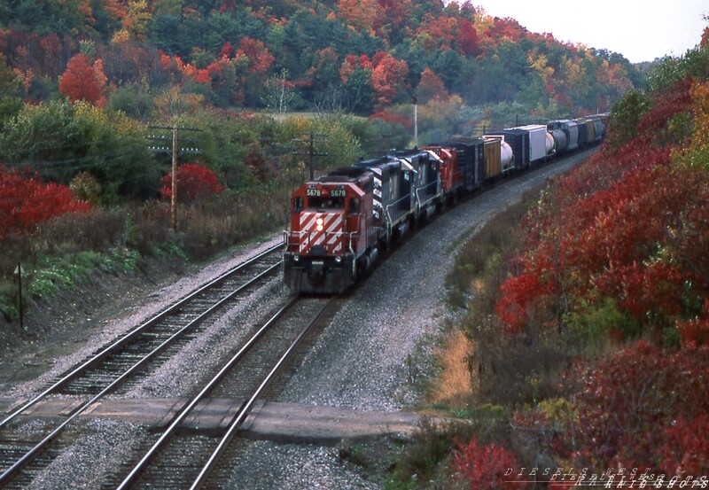 Sumac and Sugar Maples
An overcast day accentuates the changing fall foliage in rural Hunt Hollow NY as D&H BUEB, led by CP Rail SD40-2 #5678, works its way east. In the locomotive consist are a pair of leased PLM International SD40's and CP Rail RS18 #1811.
Photo Copyright 2008 Tim Baldwin
Keywords: d&h;hunt hollow;ny;sd40-2;plm;cp rail;rs18;1811