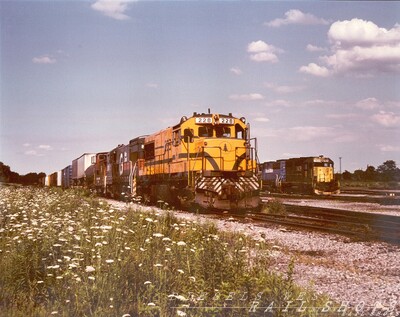 MEC U25B #228 William St Buffalo NY
Units from all three of Guilford's major components are visible in this shot, with a freshly painted ex-D&H U23B thrown in for good measure.  The star of the show is matronly MEC U25B #228, here basking in the summer sun.  I hope she's not allergic to milkweed pollen.
Photo Copyright 2008 Tim Baldwin
Keywords: mec;u25b;u23b;d&h;north yard;ny