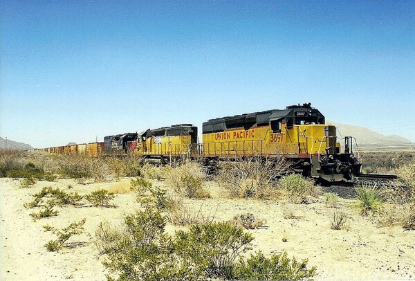 UP Work Extra
Tied down, just west of Lordsburg, NM
Keywords: up;sd40-2;desert;lordsburg;nm