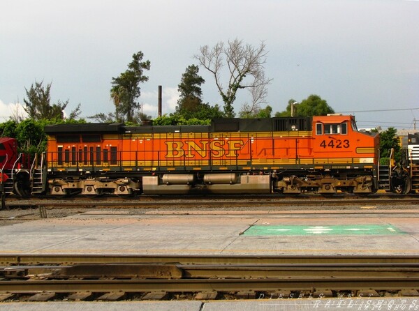 visitor in mexico. fxe 4500* Mexico 2008
BNSF C44-9W Ferromex Train Mexico 2008 FXE 4500
Keywords: bnsf;mexico;fxe;c44-9w