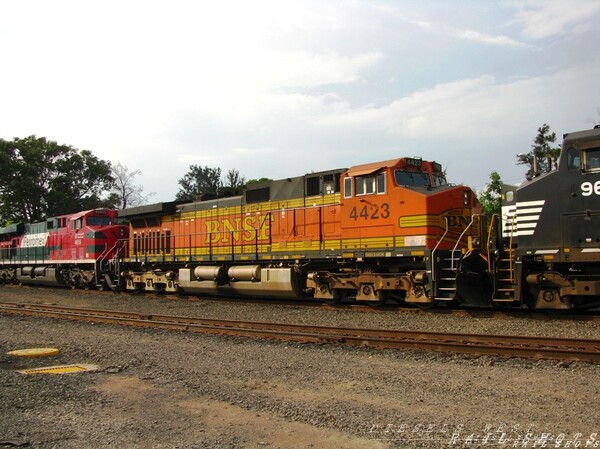 BNSF 4423
visitor in mexico. fxe 4500* Mexico 2008, BNSF C44-9W  Ferromex Train Mexico 2008 FXE 4500
Keywords: bnsf;ns;ferromex;c44-9w;mexico