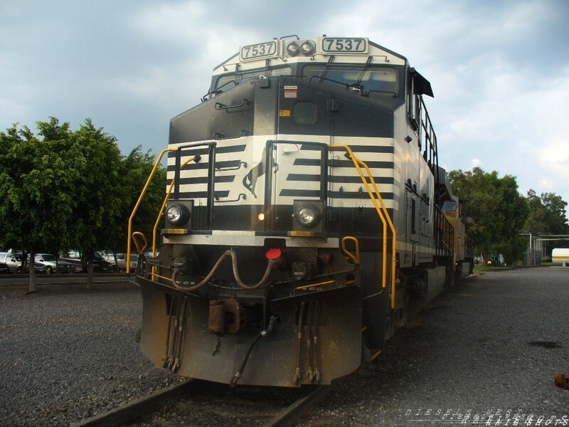 NS 7537
visitor in Mexico - 2007
Keywords: es40dc;ns;mexico