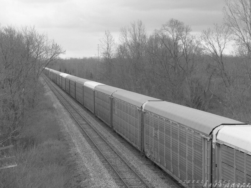 Autoracks
A long string of empty autoracks sitting in Beech Grove, Indiana
Keywords: autorack;vehicle;beech grove;indiana